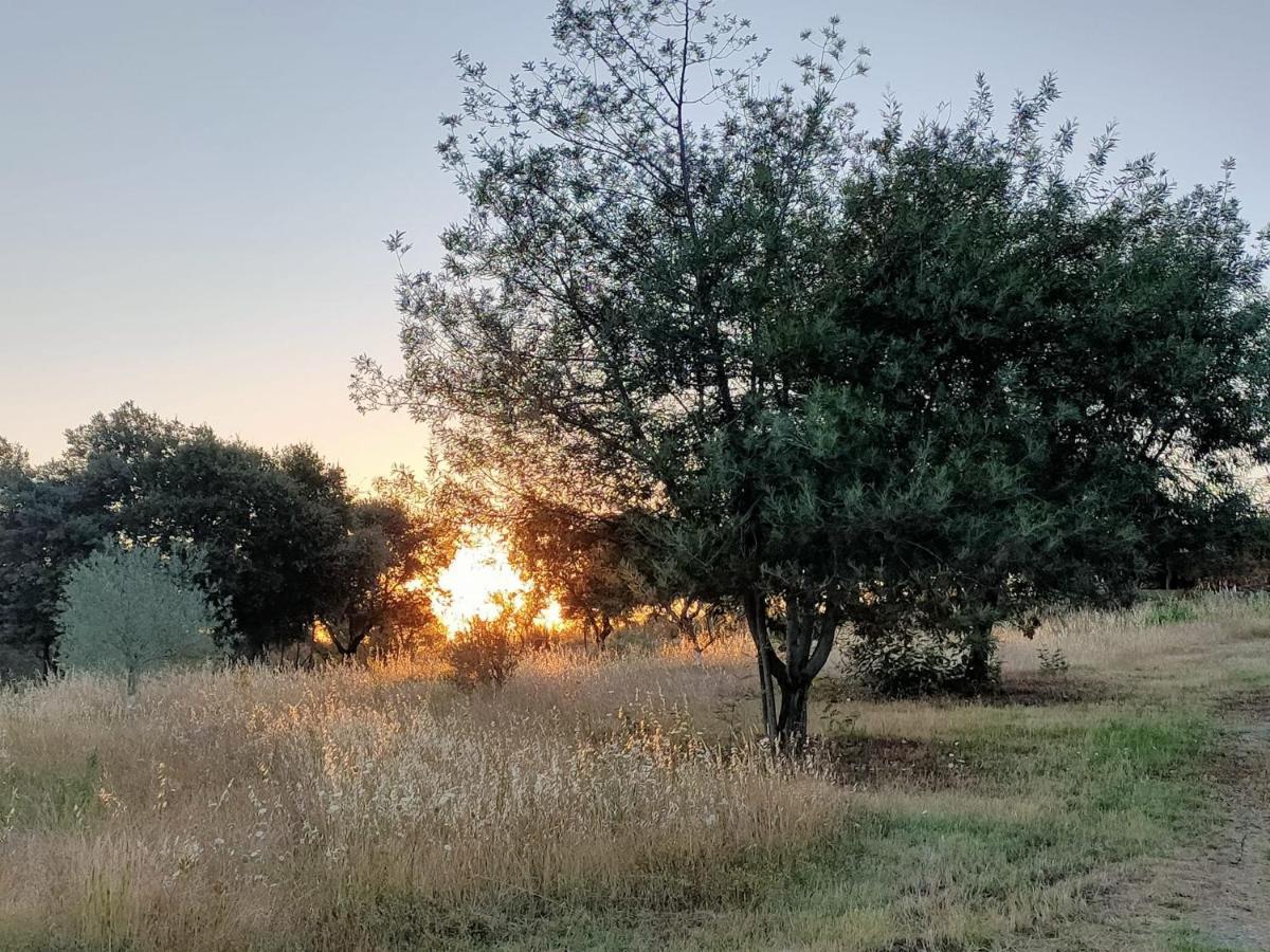 Casa Rural Camino Del Alentejo Villa La Codosera Ngoại thất bức ảnh
