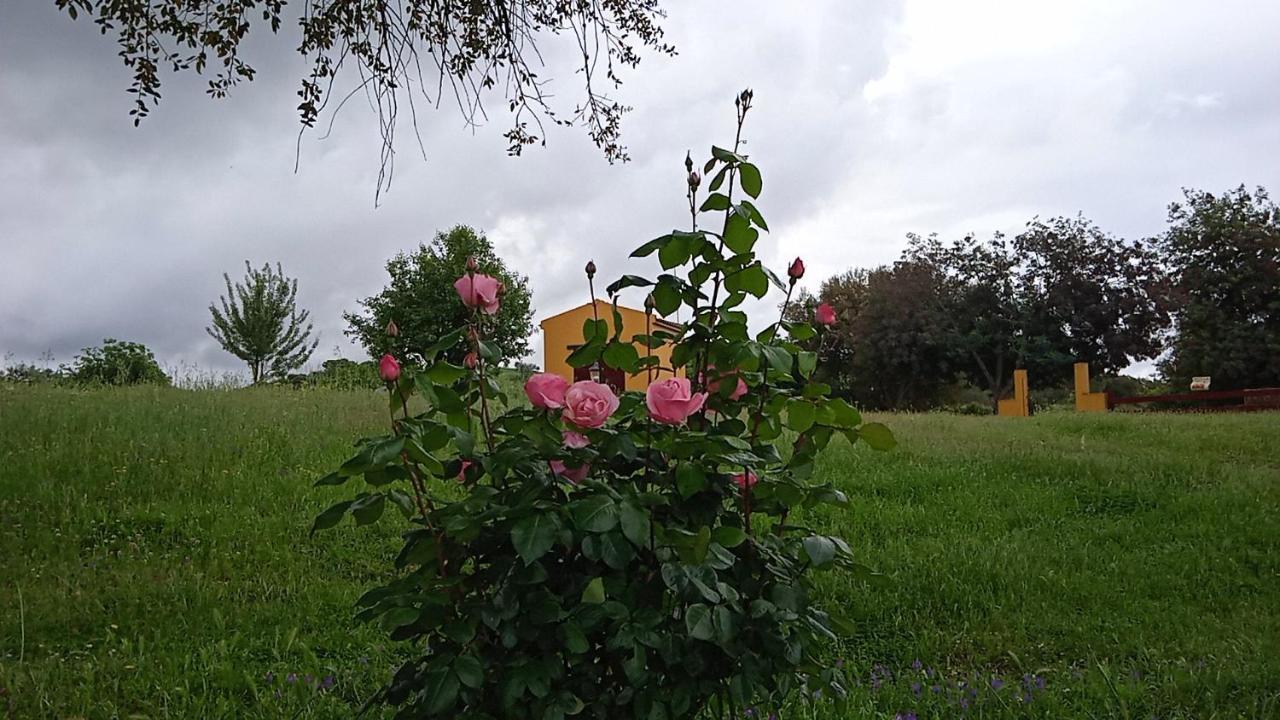 Casa Rural Camino Del Alentejo Villa La Codosera Ngoại thất bức ảnh