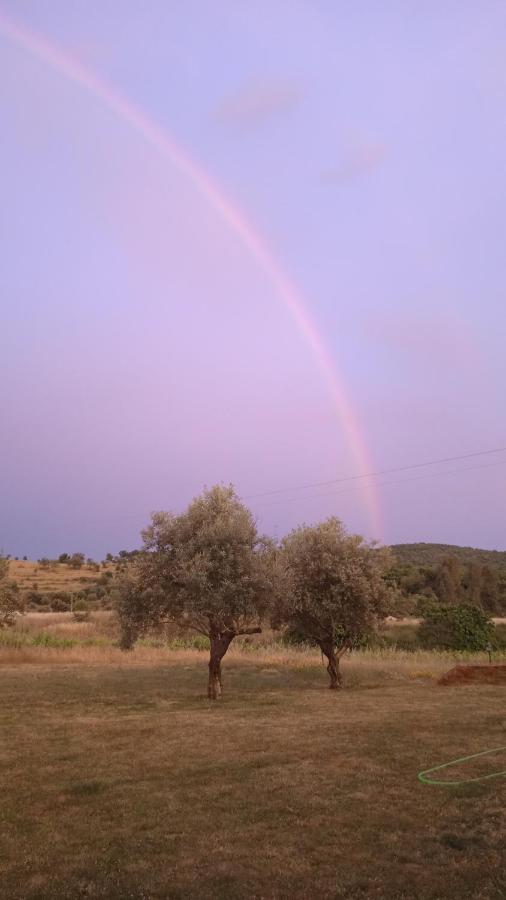 Casa Rural Camino Del Alentejo Villa La Codosera Ngoại thất bức ảnh