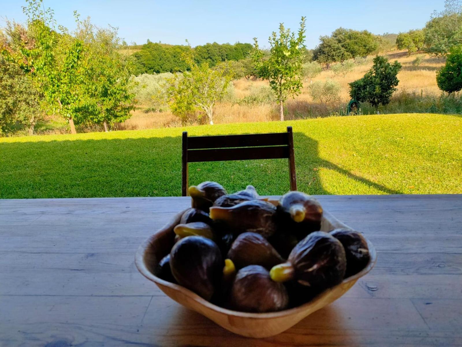 Casa Rural Camino Del Alentejo Villa La Codosera Phòng bức ảnh